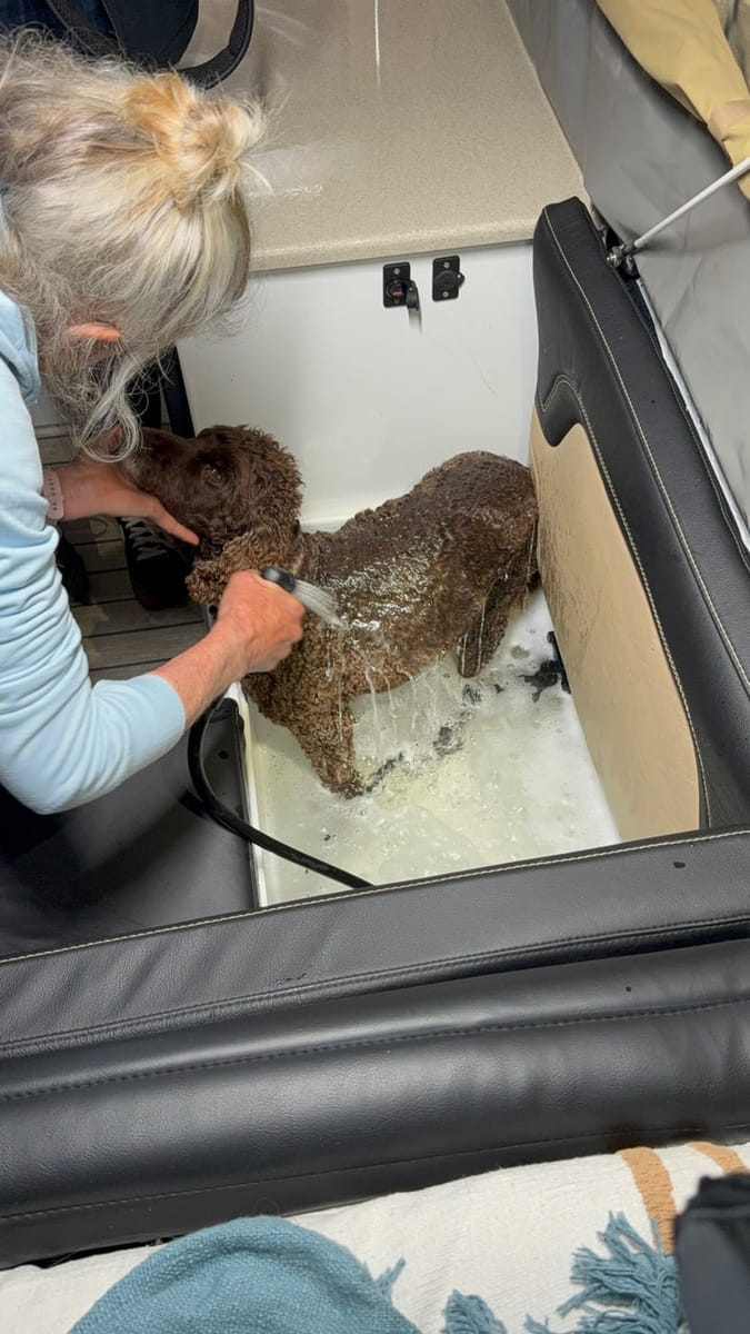 A dog being washed in the internal ensuite after time outdoors